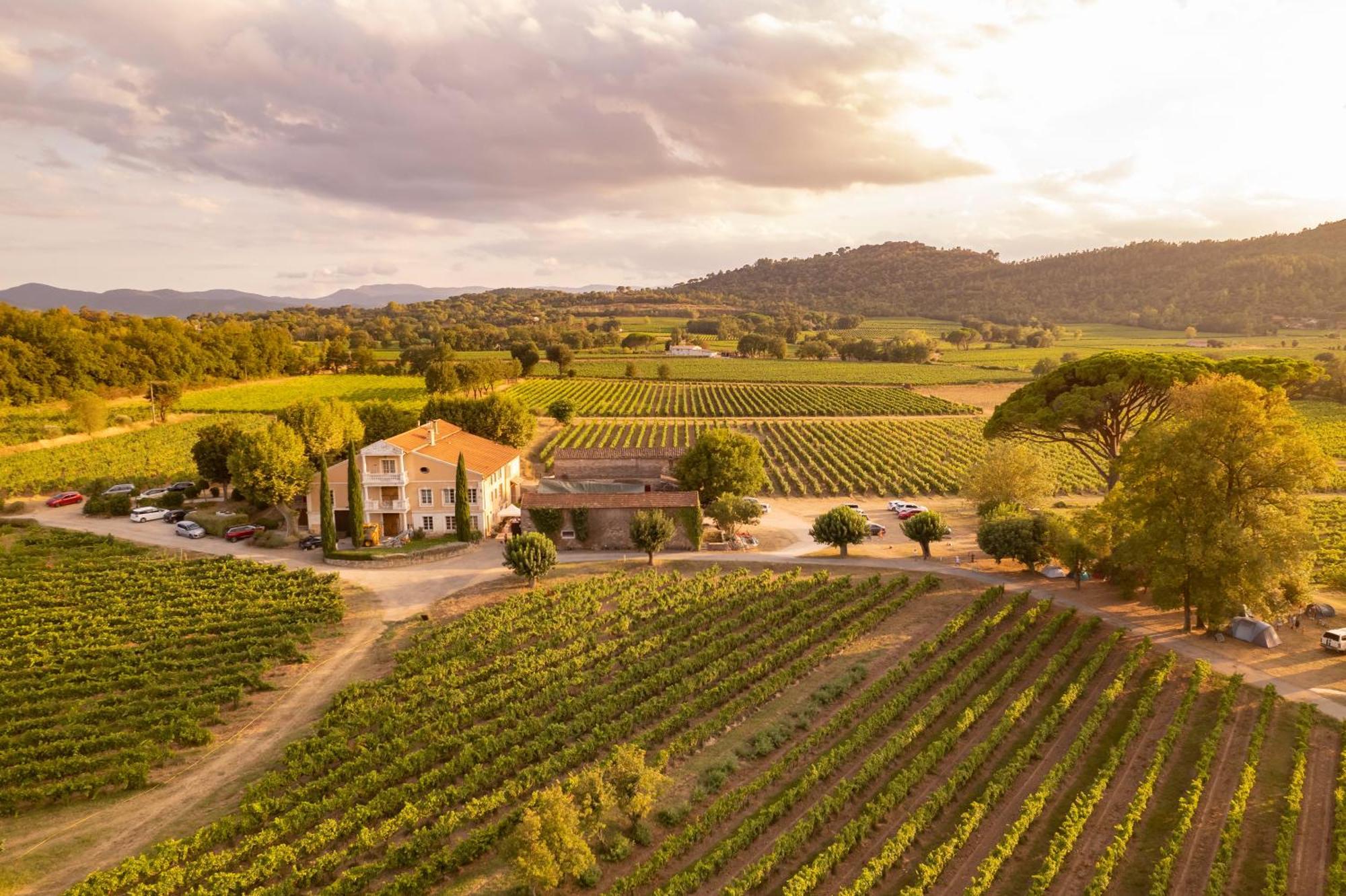 Gite Vert D'Olive Au Milieu Des Vignes - Chateau Les Apies Les Arcs-sur-Argens Exterior foto