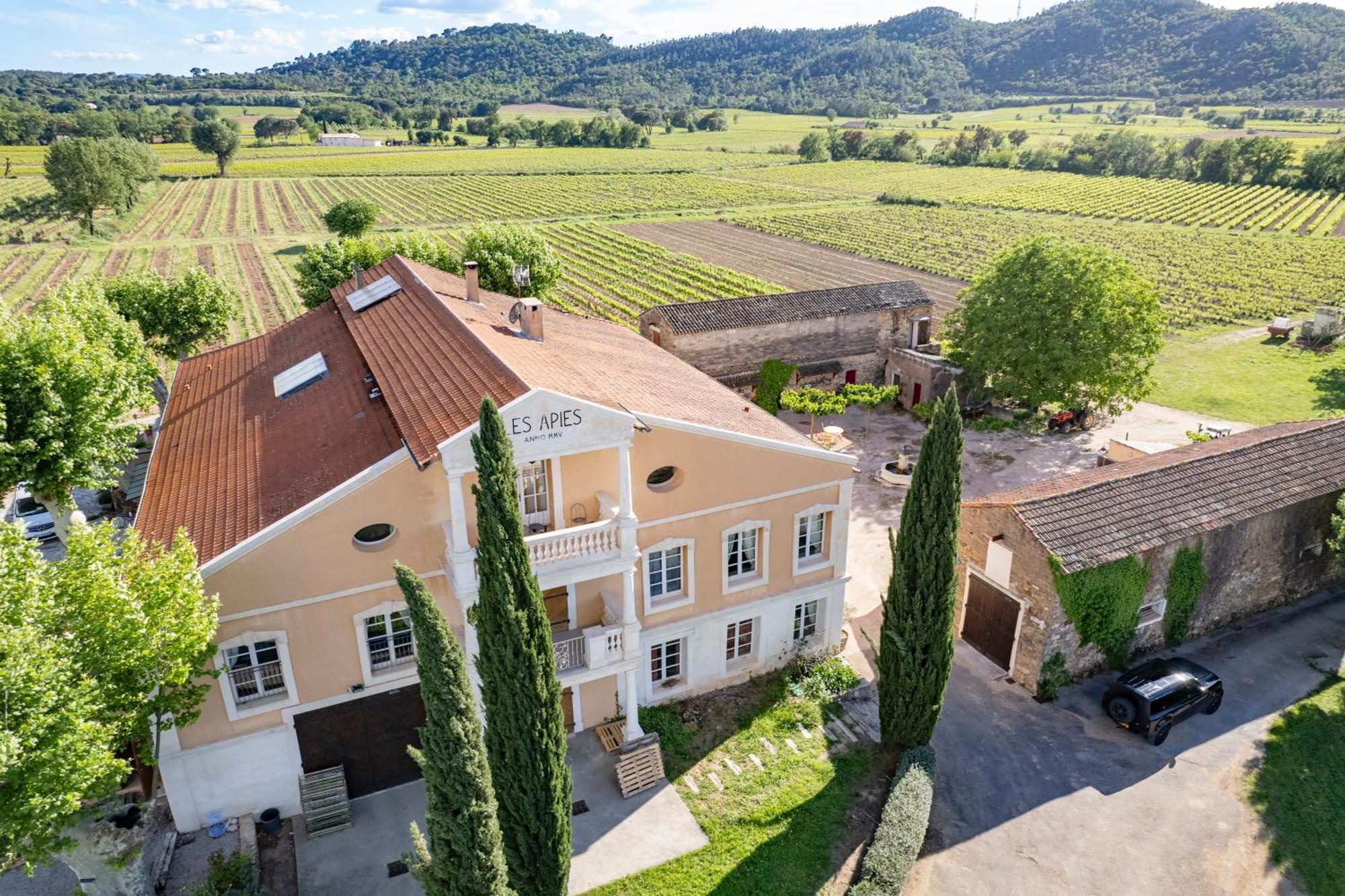 Gite Vert D'Olive Au Milieu Des Vignes - Chateau Les Apies Les Arcs-sur-Argens Exterior foto